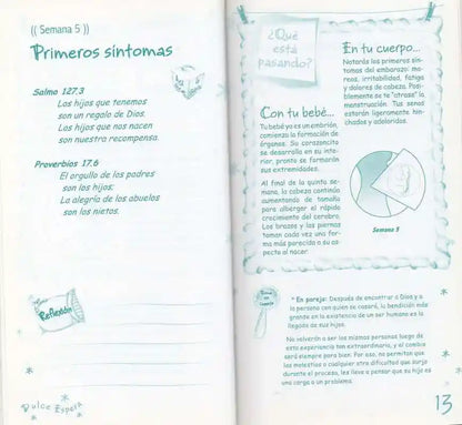 Libro Cristiano Dulce Espera