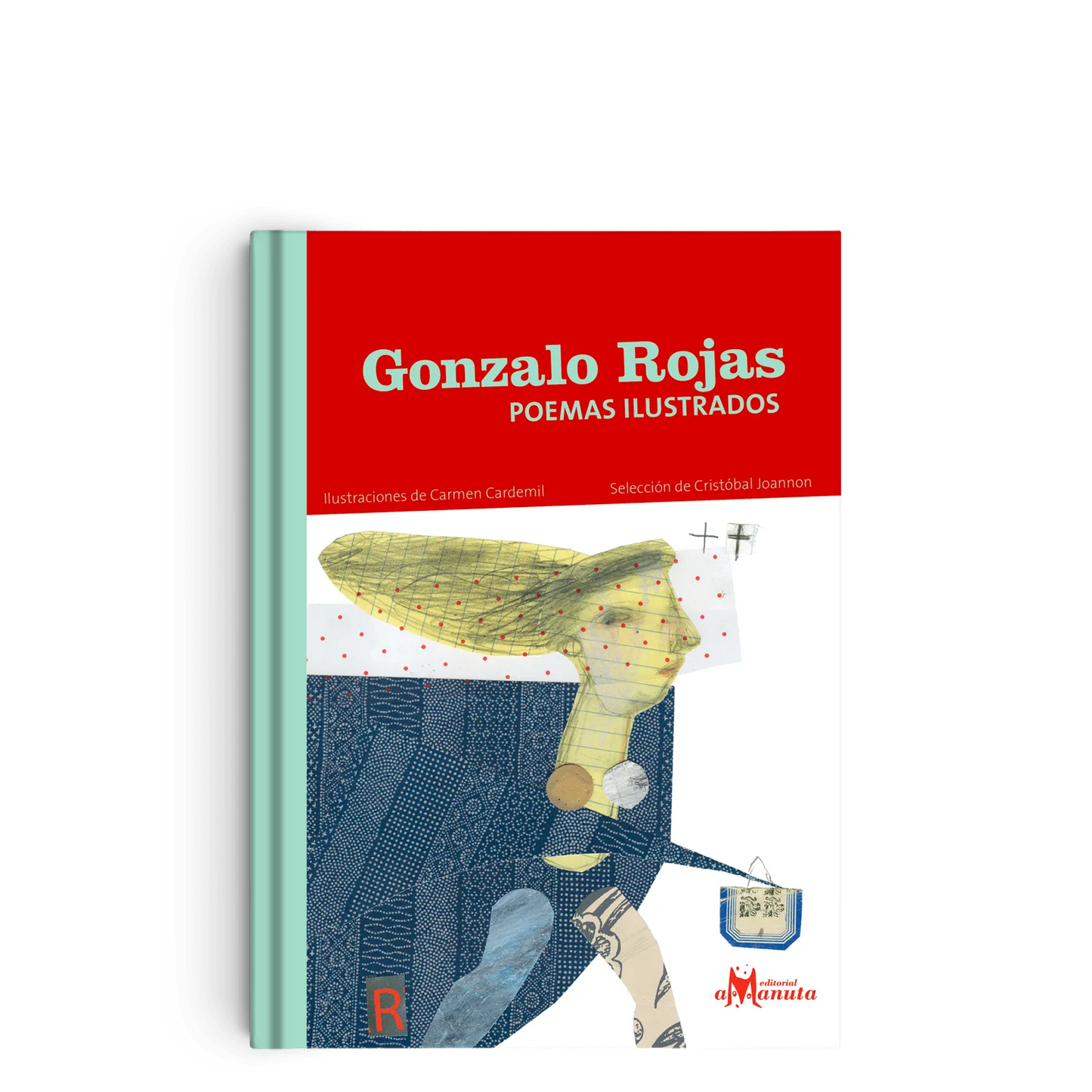 Libro Gonzalo Rojas, Poemas Ilustrados
